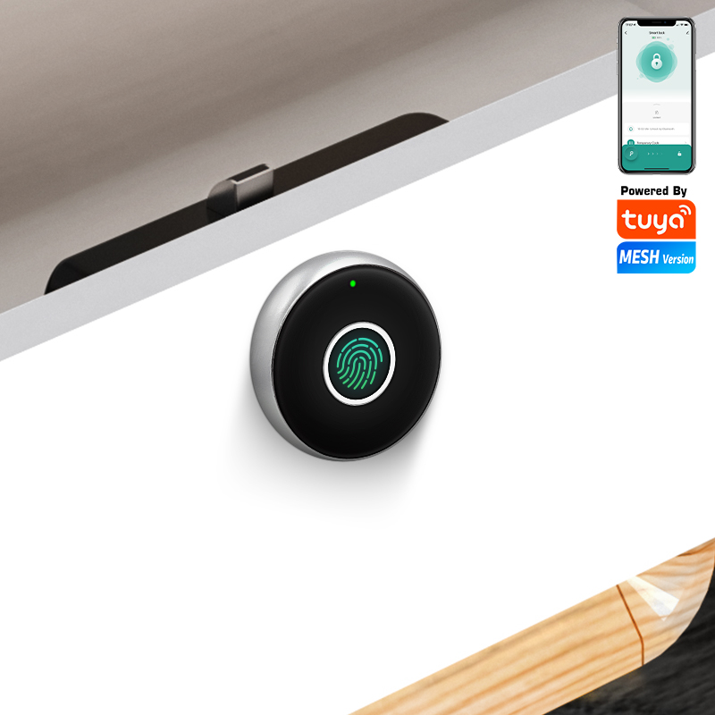 Smart Home Or Smart Home - Tuya APP Fingerprint Biometric Electronic Lock