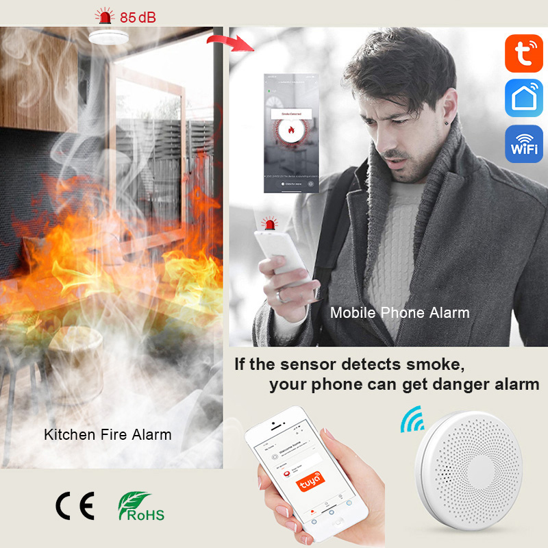 2 in 1 Version WiFi Tuya Smart - Smart Smoke Detector recension och pris