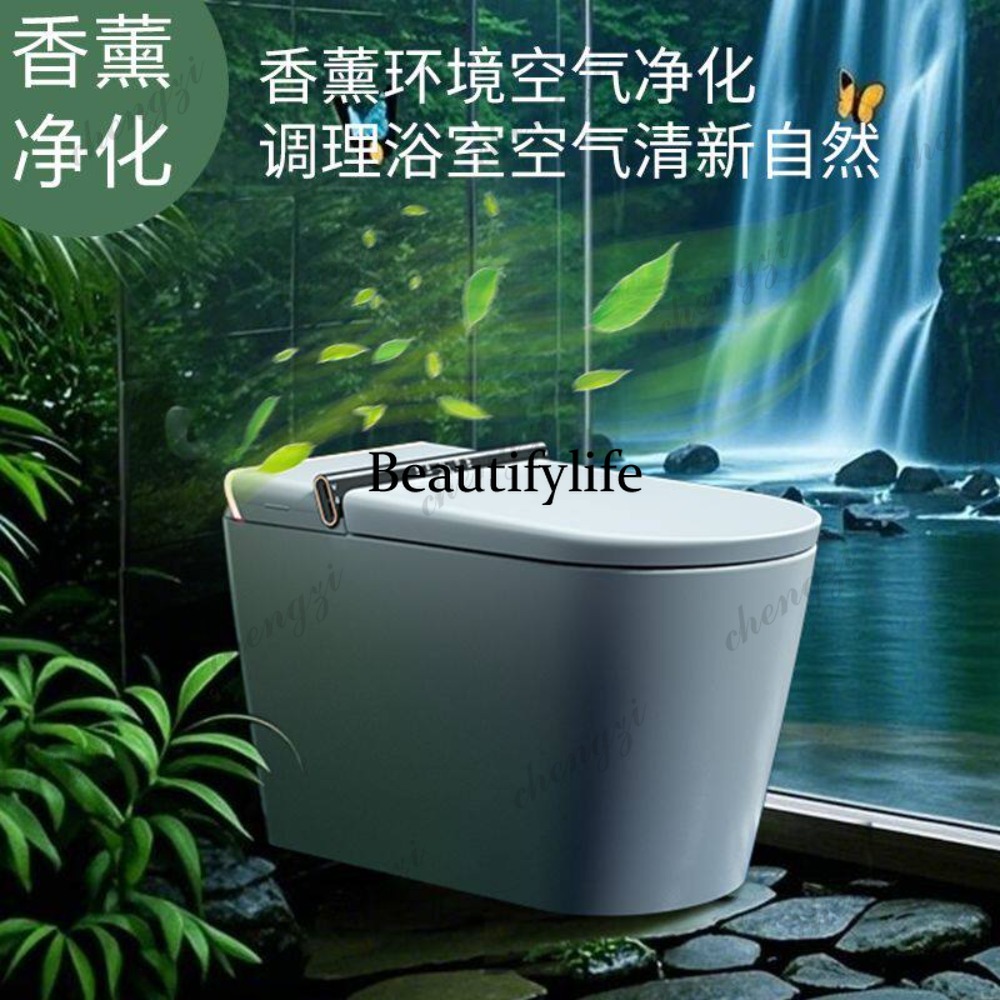 Upgrade the smart home toilet  - Upgrade Smart Home recension och pris