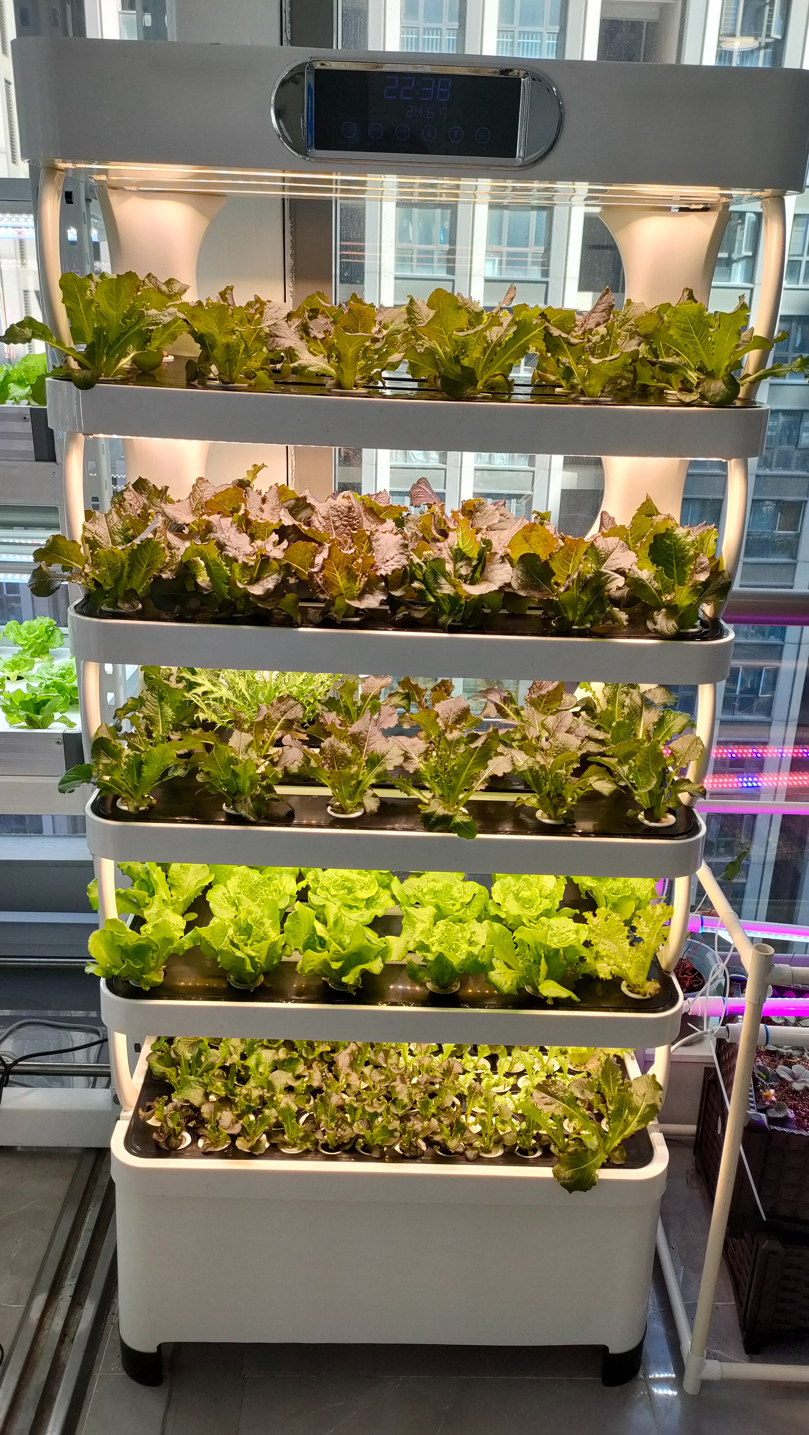 Intelligent Hydroponic Growing - Smart Home System recension och pris