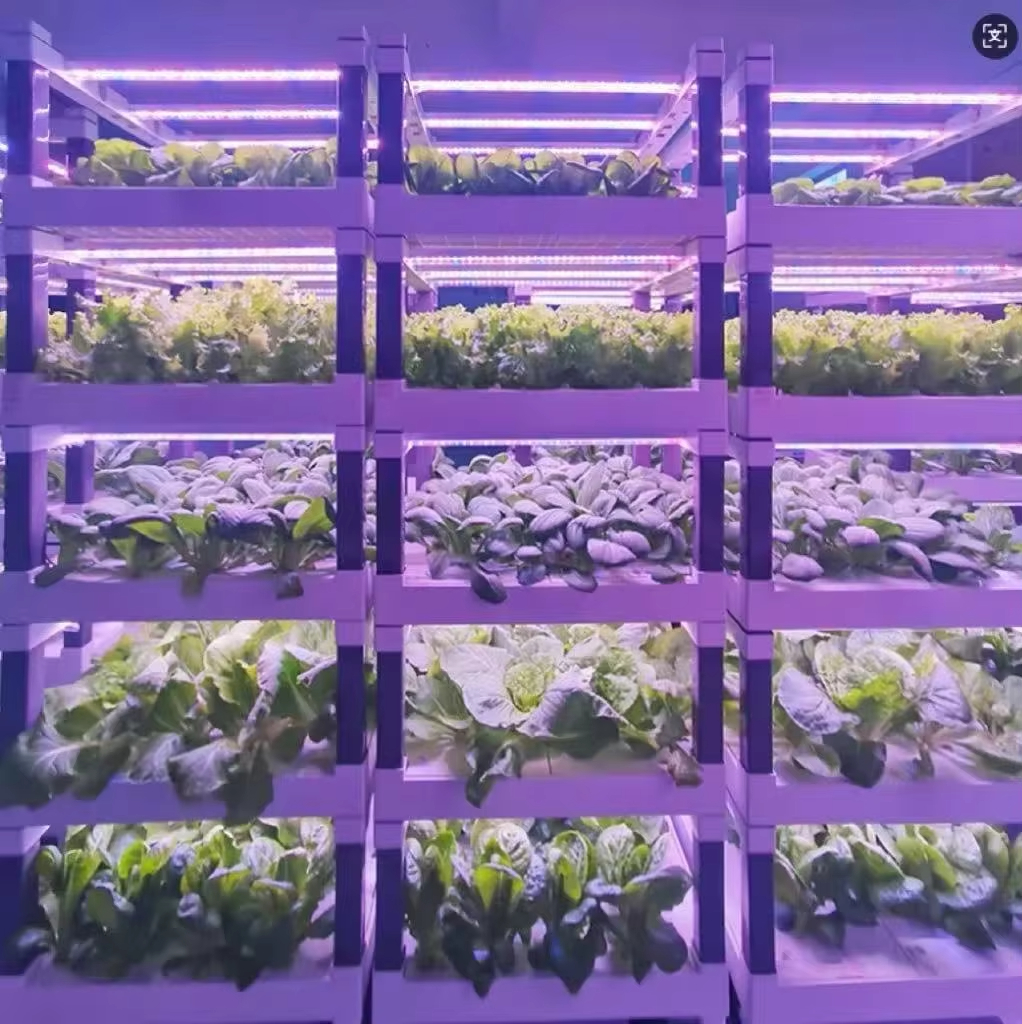 Hydroponic Grow System Greenho - Smart Home System recension och pris